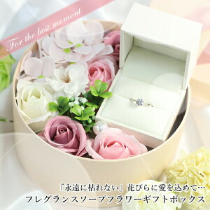 WG[P[X \[vt[ otP[X tOX\[v t[Mtg{bNX y݌Ɍz