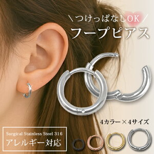 sAX T[WJXeX AM[ Ή ςȂ\ t[vsAX Lb`X ^b` S4F Vo[ S[h sNS[h ubN Y fB[X Vv