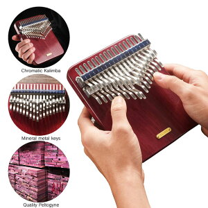 �J�����o LingTing LT-K 34V 34�L�[ �e�w�s�A�m 34���ՃJ�����o �e�w�s�A�m ���K�i �J�����o���r�� �T���s�A�m �������v���[���g�i��𕷂��j