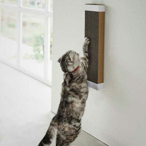 ̑rOpi ^[ ΂{[hǑΉEH[Lp܂Ƃz_[tower R ybgObY ybgpi ybgACe CeA mA