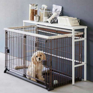 Ȉ ^[ LkybgP[WドbNtower R ybgpi ybgObY ybgACe P[W[ CeA mA