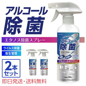 楽天市場 幼稚園 除菌の通販