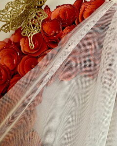 _Cڂ̃Vu[`[[X@NB3395{i䌧Yj