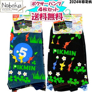 yzy4gzsN~ {NT[u[t 2024Ntĕ / pc CV sN~pc