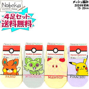 yzy4gz |P q\bNXybV҂݁z2024Nĕ 15-20cm (̎q:sJ`E&jIn&p&}zCbv) / LbY\bNX qC Xj[J[\bNX