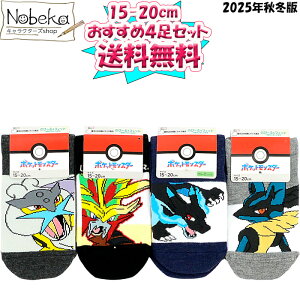 yzy4Zbgz |P q\bNX 15-20cm 2025NH~ (KJIKU[hEKczCRE) / LbY\bNX qC |PbgX^[