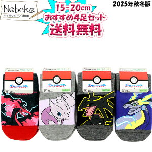 yzy4Zbgz |P q\bNX 15-20cm 2025NH~ (K~Ec[XubNbNEU~ChKt@C[) / LbY\bNX qC |Pbg