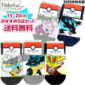 yzy5Zbgz |P q\bNX 15-20cm 2025NH~ (K~Ec[XKJIKU[hEKczCRE) / LbY\bNX qC |P
