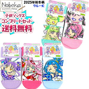 yfJtFAZ[JÒzyzyN[Rv[gZbgzL~ƃAChvLAiAChn[g{X^Cjq\bNX 2025NH~ 15-20cm / LbY\