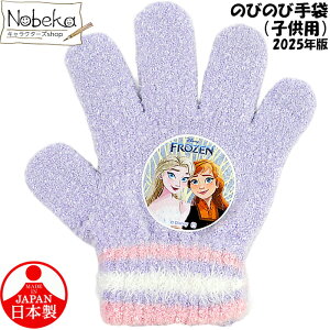 q AiƐ̏yqpzp[v 2025N / ̂т̂ю  fBYj[vZX fBYj[ vZX Ai GT