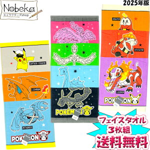 yzy3gz |P tFCX^I 2025NŁyzQ[^ZpYCWO{ebJ[Yz / |PbgX^[ ^I