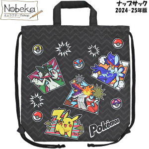 |P ibvTbN yR~bNA[g:APKD-2300z2024-25N / |PbgX^[ |PibvTbN