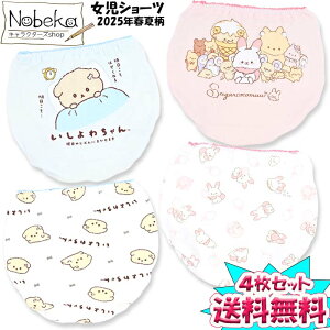 yzy4gz킿񁕃VK[RR[ V[c 2025Ntĕ / pc Aj} LN^[ t@V[ TGbNX 킿pc VK[RR[p