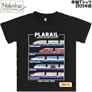 v[  TVcyPLR243-68345z2025N/TVc Vc Vc T  v[ V d 蕨 ̂ ͂Ԃ ܂ ^Jg~[ v[TVc