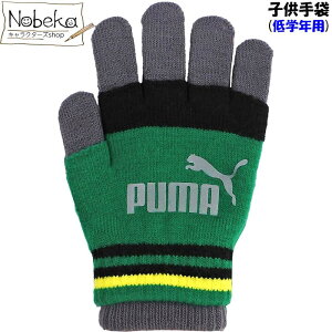 v[} q wNp y041213_03Ft@[O[z / PUMA c[C[}WbNO[u STCY  WjA v[} v[}q