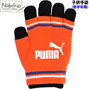 v[} q wNp y041680_02:uIWz / PUMA c[C[h }WbNO[u STCY  WjA v[} v[}q