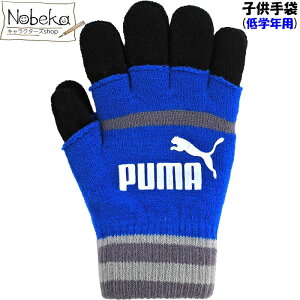v[} q wNp y040735_03:Cz / PUMA n[ttBK[ }WbNO[u G1 STCY  WjA v[} v[}q
