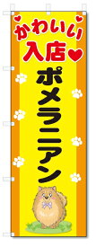 のぼり旗　ポメラニアン (W600×H1800)DOG、犬、ペットショップ