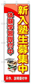 のぼり　のぼり旗　新入塾生募集中　(W600×H1800)　学習塾