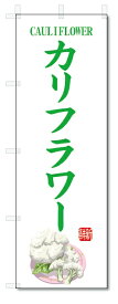 のぼり旗　キャベツ(W600×H1800)野菜