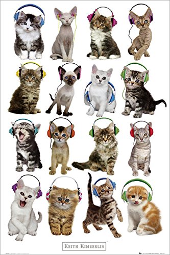 定形外郵便送料込 6000円以上お買い上げで 代引き手数料無料 全国どこでも送料無料 ポスター 実物 610X915mm Keith Headphones Kittens 2177 ヘッドフォン 猫 Kimberlin