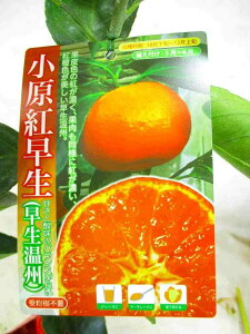 ~J g ږ 2N c 5|bg SF70Z`󕲖ؕsv IoxjZ