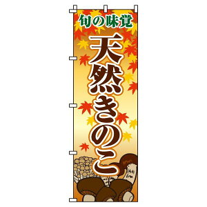 y N[|Ώ  ẑڂ VR̂ IV ڗ Wq h v i i ̂ڂ