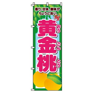 y N[|Ώ  ẑڂ   IV ڗ Wq h v i i ̂ڂ