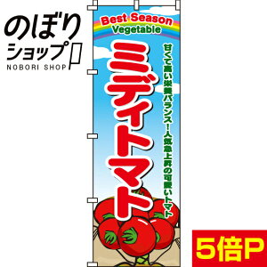 ySꗥ341~z ̂ڂ ~fBg}g 0100463IN