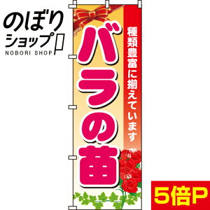 ySꗥ341~z ̂ڂ o̕c 0240084IN