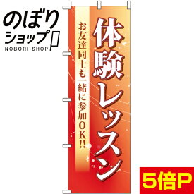 【全国一律送料341円】 のぼり旗 体験レッスン 0270202IN