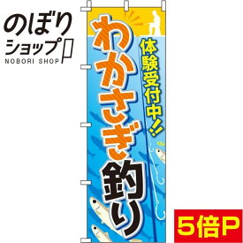 【全国一律送料341円】 のぼり旗 わかさぎ釣り 体験受付中 0130524IN