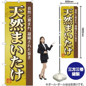 VR܂ ̂ڂ No.2707i󒍐YiELZsj