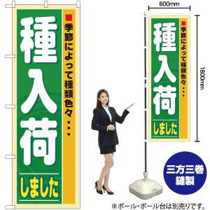 ׂ܂ ̂ڂ No.3250i󒍐YiELZsj