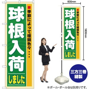 ׂ܂ ̂ڂ No.3251i󒍐YiELZsj