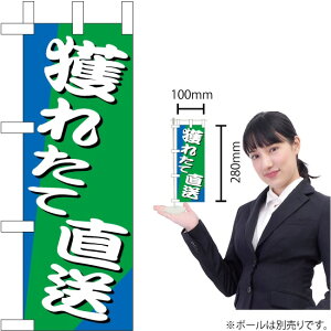 ~ĵڂ lꂽĒ No.9537i󒍐YiELZsj