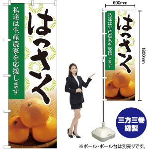 ͂ ʐ^ ̂ڂ No.21984i󒍐YiELZsj