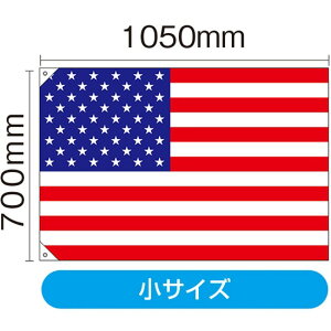  AJ ȋpj No.23725 i󒍐YiELZsj