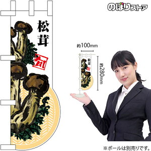 ~ĵڂ  j[NJbgNo.25955i󒍐YiELZsj