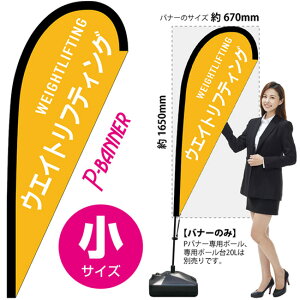 Poi[iTCYj EGCgteBO No.29924i󒍐YiELZsj