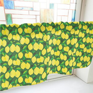 JtFJ[e  i΁j p ډB CeA Lb`  J[ei1000mm×450mmj No.40539 i󒍐YiELZsj