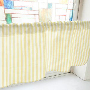 JtFJ[e ubNXgCv ij p ډB CeA Lb`  J[ei800mm×450mmj No.40562 i󒍐YiELZsj