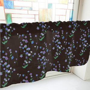 JtFJ[e X~ ij p ډB CeA Lb`  J[ei1000mm×450mmj No.40807 i󒍐YiELZsj