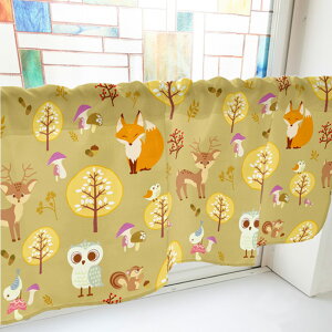 JtFJ[e H̐X ij p ډB CeA Lb`  J[ei1000mm×450mmj No.41105 i󒍐YiELZsj