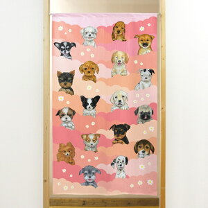 s[X̂ 18ČsNƉ No.41975 i󒍐YiELZsj