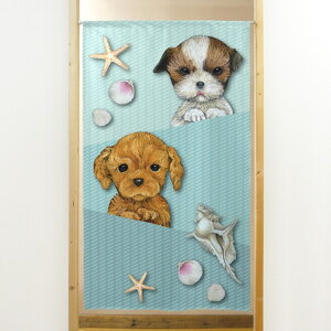 s[X̂ 2ČƊLk No.41981 i󒍐YiELZsj