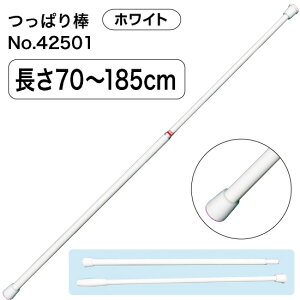 WCgς_ ij iMj No.42501