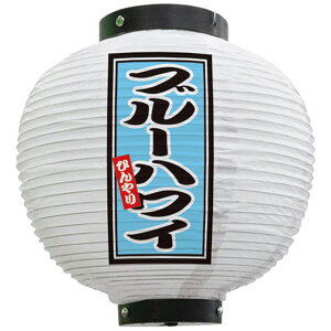 tJ[ ی^ u[nC Ђ ij No.43713i󒍐YiELZsj