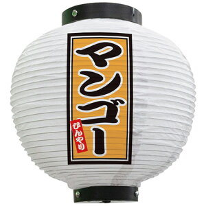 tJ[ ی^ }S[ Ђ ij No.43716i󒍐YiELZsj