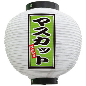 tJ[ ی^ }XJbg Ђ ij No.43717i󒍐YiELZsj